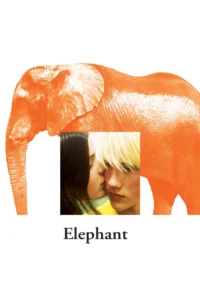 Elephant – Fil
